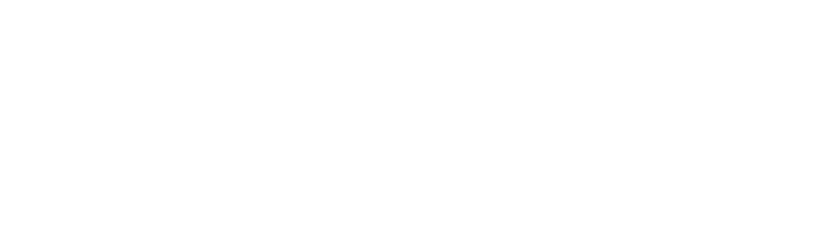Fancy Terry logo white